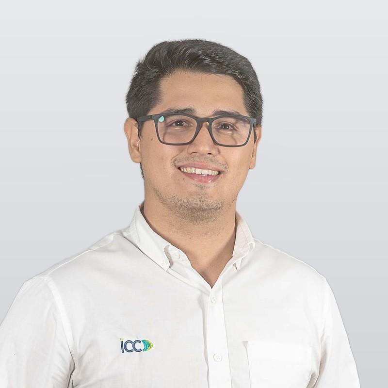 Ing. José Alfaro R., MAP, Ingeniero de Proyecto — ICC