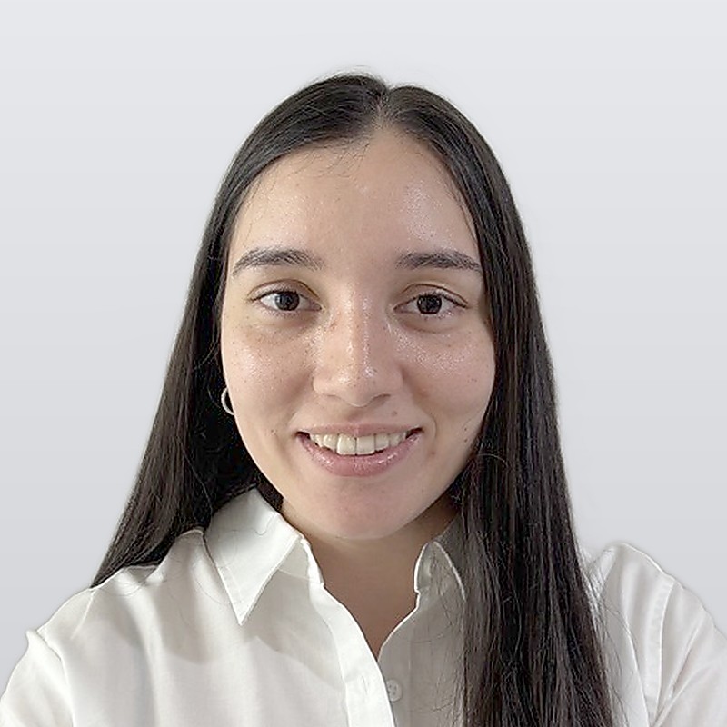 Ing. Karolina Cascante A., Ingeniera de Proyecto — ICC